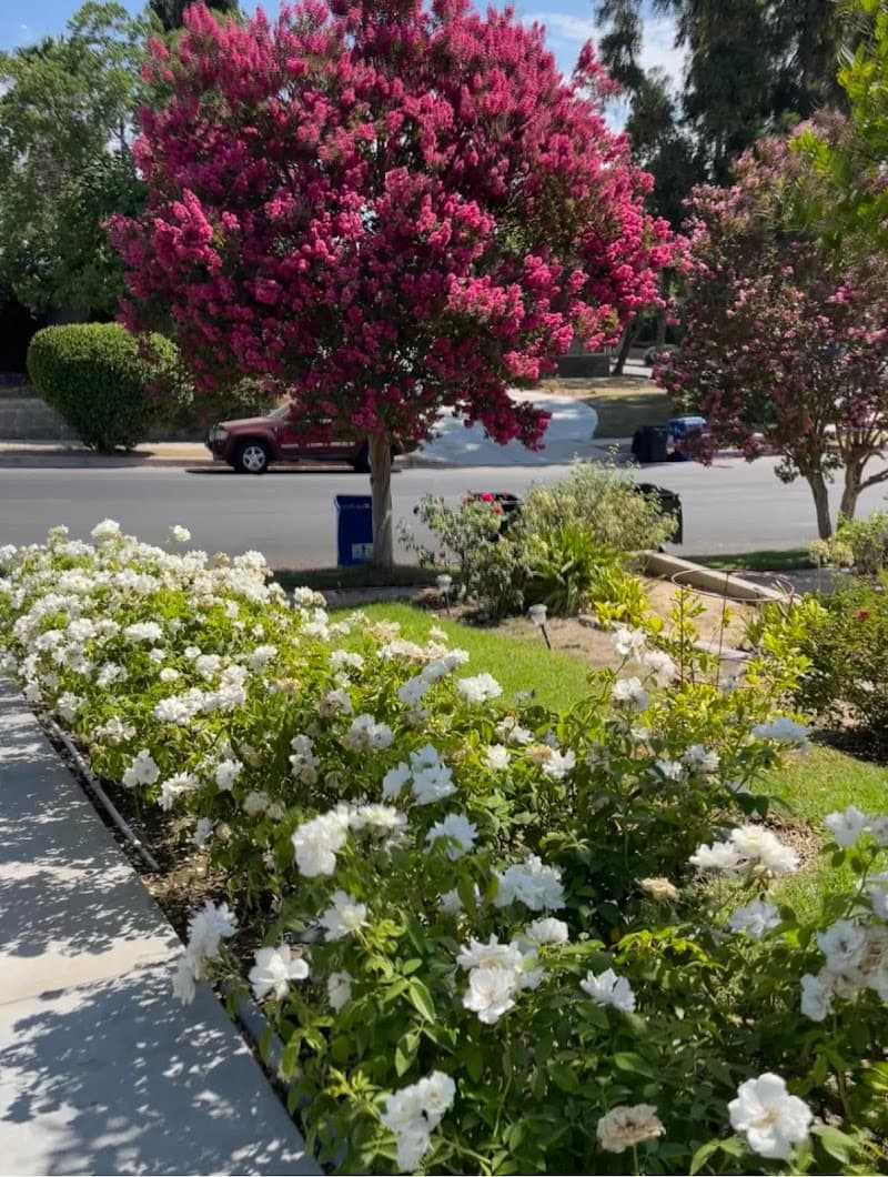 AMAZING SENIOR CARE ON LASSEN, INC.