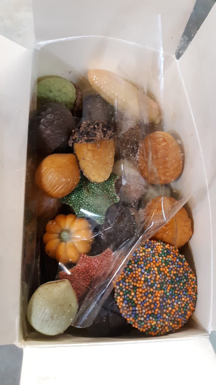 Maplewood Group AFC LLC