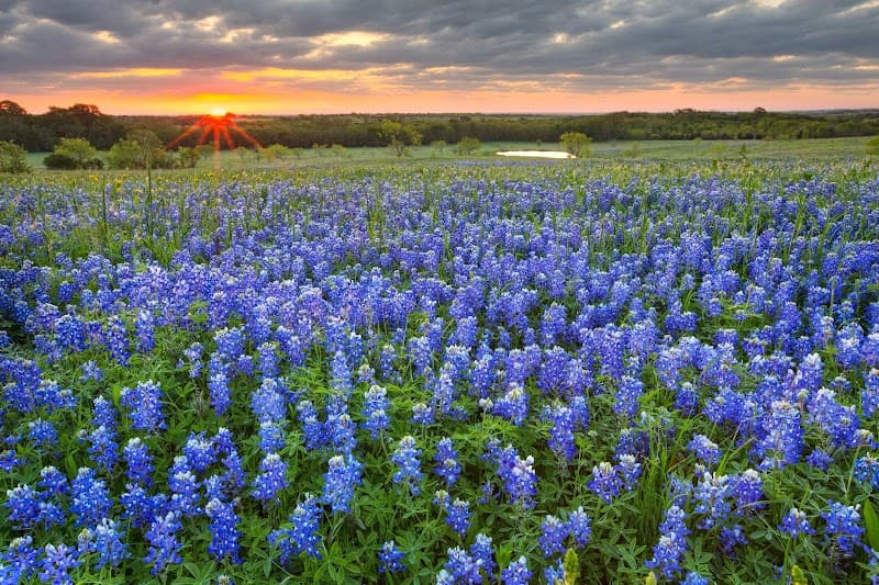 SEDRO TRAIL ASSISTED LIVING AND MEMORY CARE