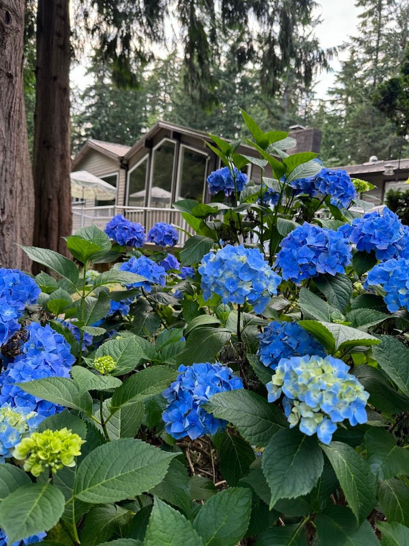 Golden Hearth Resident