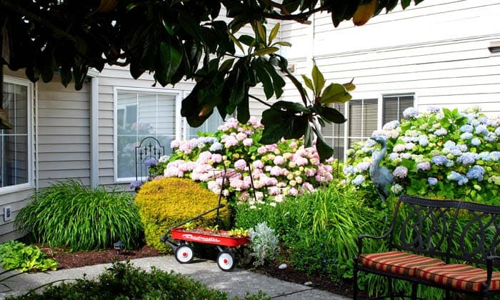 HIGHGATE SENIOR LIVING