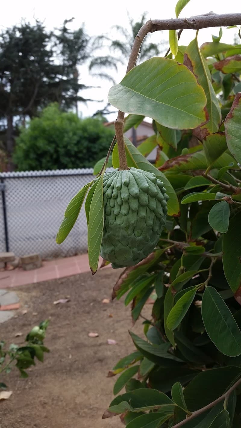 SUNNYHILL GUEST HOME